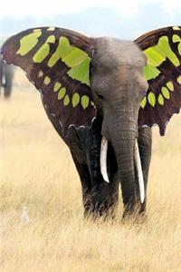 MindBlowing Elephant Journal 24