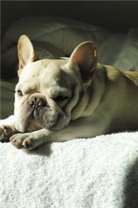 Sweet French Bulldog Pup on the Bed Journal