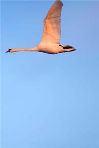 Swans Notebook