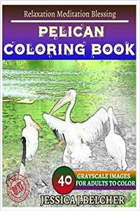 Pelican Coloring Book for Adults Relaxation Meditation Blessing: Sketches Coloring Book 40 Grayscale Images