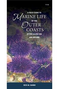 A Field Guide to Marine Life of the Outer Coasts of the Salish Sea and Beyond