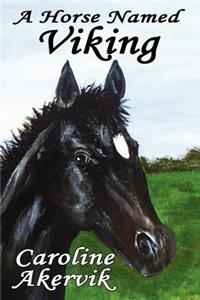 Horse Named Viking