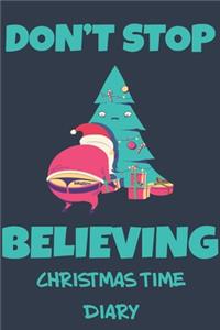 Christmas Time Diary