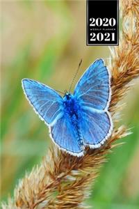 Butterfly Butterflies Insect Week Planner Weekly Organizer Calendar 2020 / 2021 - Modraszek Ikar