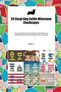 20 Corgi Dog Selfie Milestone Challenges