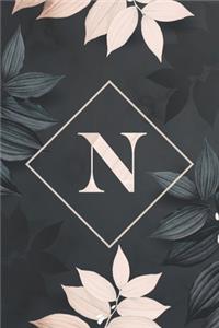 N