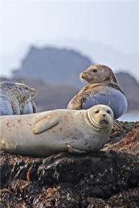 Seals Resting Notebook