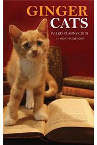 Ginger Cats Weekly Planner 2019