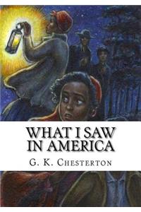 What I Saw in America