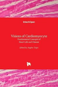 Visions of Cardiomyocyte