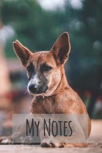 My Notes