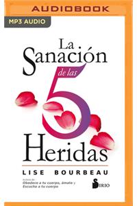 Sanación de Las 5 Heridas (Narración En Castellano)