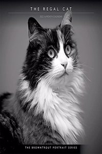 Cat, the Regal, the Browntrout Portrait Series 2022 Square