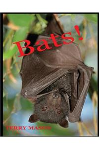 Bats