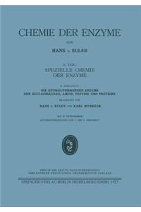 Hydrolysierenden Enzyme Der Nucleinsäuren, Amide, Peptide Und Proteine