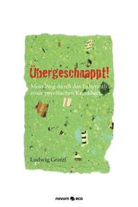 Übergeschnappt: Mein Weg Durch Das Labyrinth Einer Psychischen Krankheit
