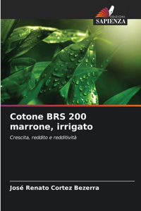 Cotone BRS 200 marrone, irrigato