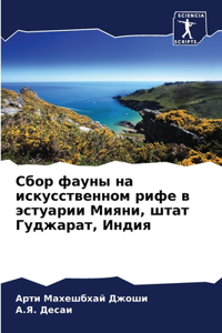 &#1057;&#1073;&#1086;&#1088; &#1092;&#1072;&#1091;&#1085;&#1099; &#1085;&#1072; &#1080;&#1089;&#1082;&#1091;&#1089;&#1089;&#1090;&#1074;&#1077;&#1085;&#1085;&#1086;&#1084; &#1088;&#1080;&#1092;&#1077; &#1074; &#1101;&#1089;&#1090;&#1091;&#1072;&#10