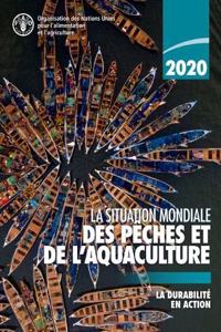 La situation mondiale des peches et de l’aquaculture 2020