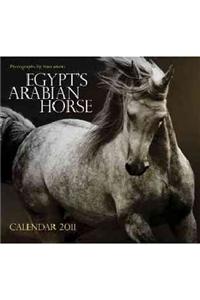Egypt's Arabian Horse