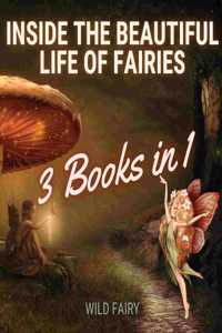 Inside the Beautiful Life of Fairies