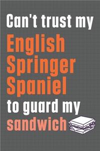 Can't trust my English Springer Spaniel to guard my sandwich