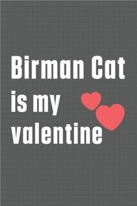 Birman Cat is my valentine