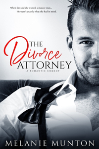 The Divorce Attorney