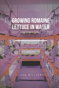 Growing Romaine Lettuce In Water