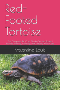 Red-Footed Tortoise
