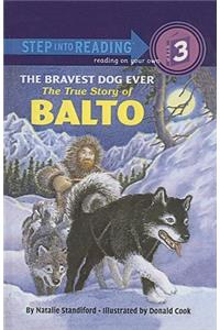 The Bravest Dog Ever