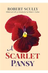 Scarlet Pansy