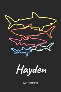 Hayden - Notebook