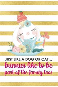 Just Like A Dog Or Cat... Bunnies Like To Be Part Of The Family Too!