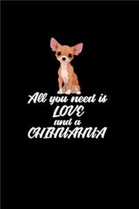 All You Need IS Love And A Chihuahua
