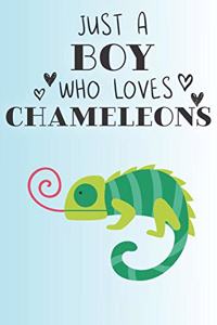 Just A Boy Who Loves Chameleons