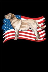 Labrador US Flag