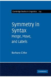 Symmetry in Syntax