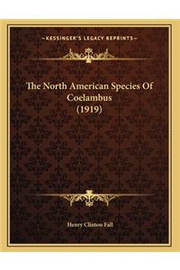 The North American Species Of Coelambus (1919)