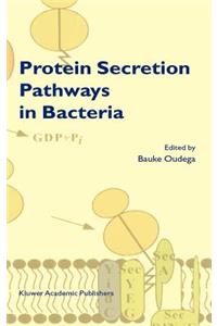 Protein Secretion Pathways in Bacteria