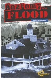 Anatomy of a Flood