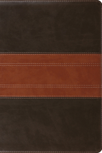 ESV Study Bible, Personal Size