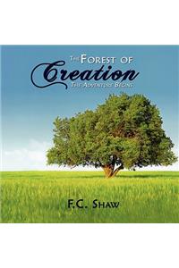 Forest of Creation