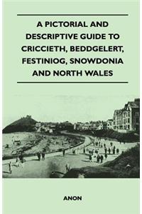 A Pictorial and Descriptive Guide to Criccieth, Beddgelert, Festiniog, Snowdonia and North Wales