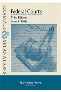 Examples & Explanations for Federal Courts