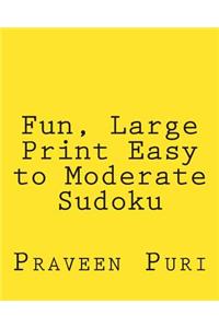Fun, Large Print Easy to Moderate Sudoku