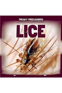 Lice