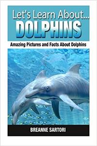 Dolphins (Lets Learn About)