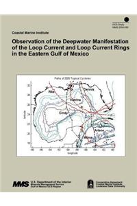 Observation of the Deepwater Manifestation of the Loop Current and Loop Current Rings in the Eastern Gulf of Mexico