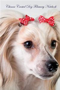 Chinese Crested Dog February Notebook Chinese Crested Dog Record, Log, Diary, Special Memories, To Do List, Academic Notepad, Scrapbook & More